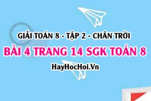 Bài 4 trang 14 Toán 8 Tập 2 Chân trời sáng tạo